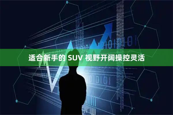 适合新手的 SUV 视野开阔操控灵活